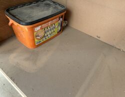 IMG_9391.JPG