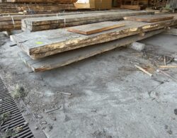 IMG_7519.JPG