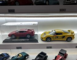IMG_1902.JPG