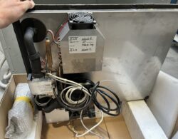 IMG_3378.JPG