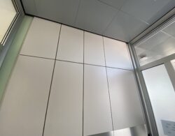 IMG_4260.JPG