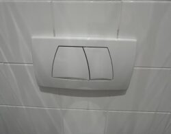 IMG_1788.JPG