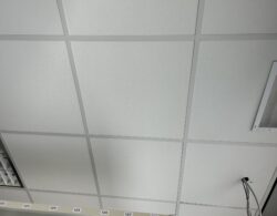 IMG_1827.JPG
