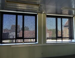 IMG_2022.JPG
