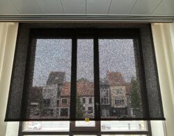 IMG_2205.JPG
