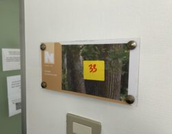 IMG_2336.JPG