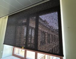 IMG_2096.JPG