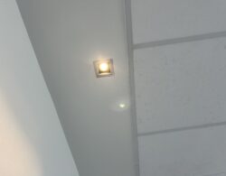 IMG_2568.JPG