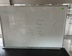 IMG_3097.JPG