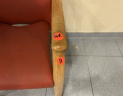 IMG_3387.JPG
