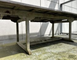 IMG_3856.JPG