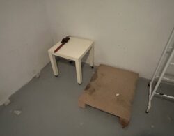 IMG_5285.JPG