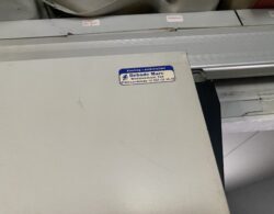 IMG_5959.JPG