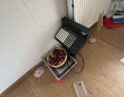 IMG_4774.JPG